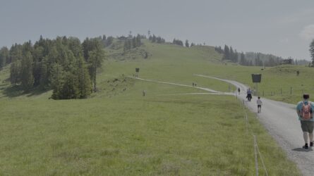 Begleitung INTERREG Projektantrag Biodiversitätsmanagement von Bergbahnen